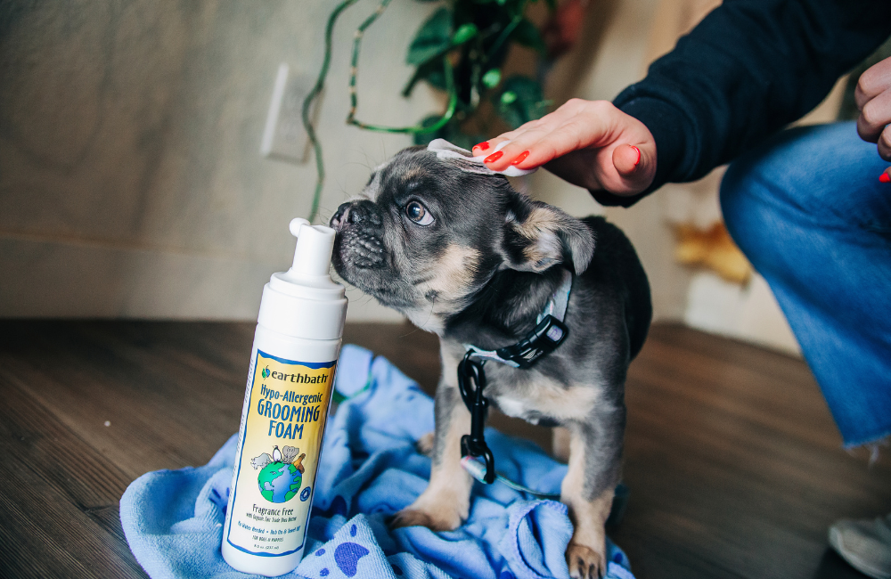 Foam Up: A Guide to earthbath® Waterless Foams