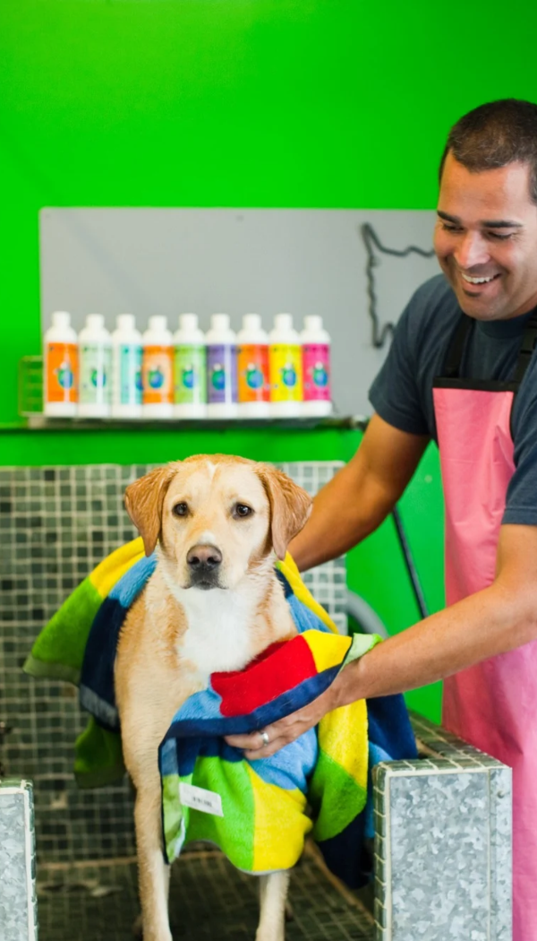 man washing dog in pet wash