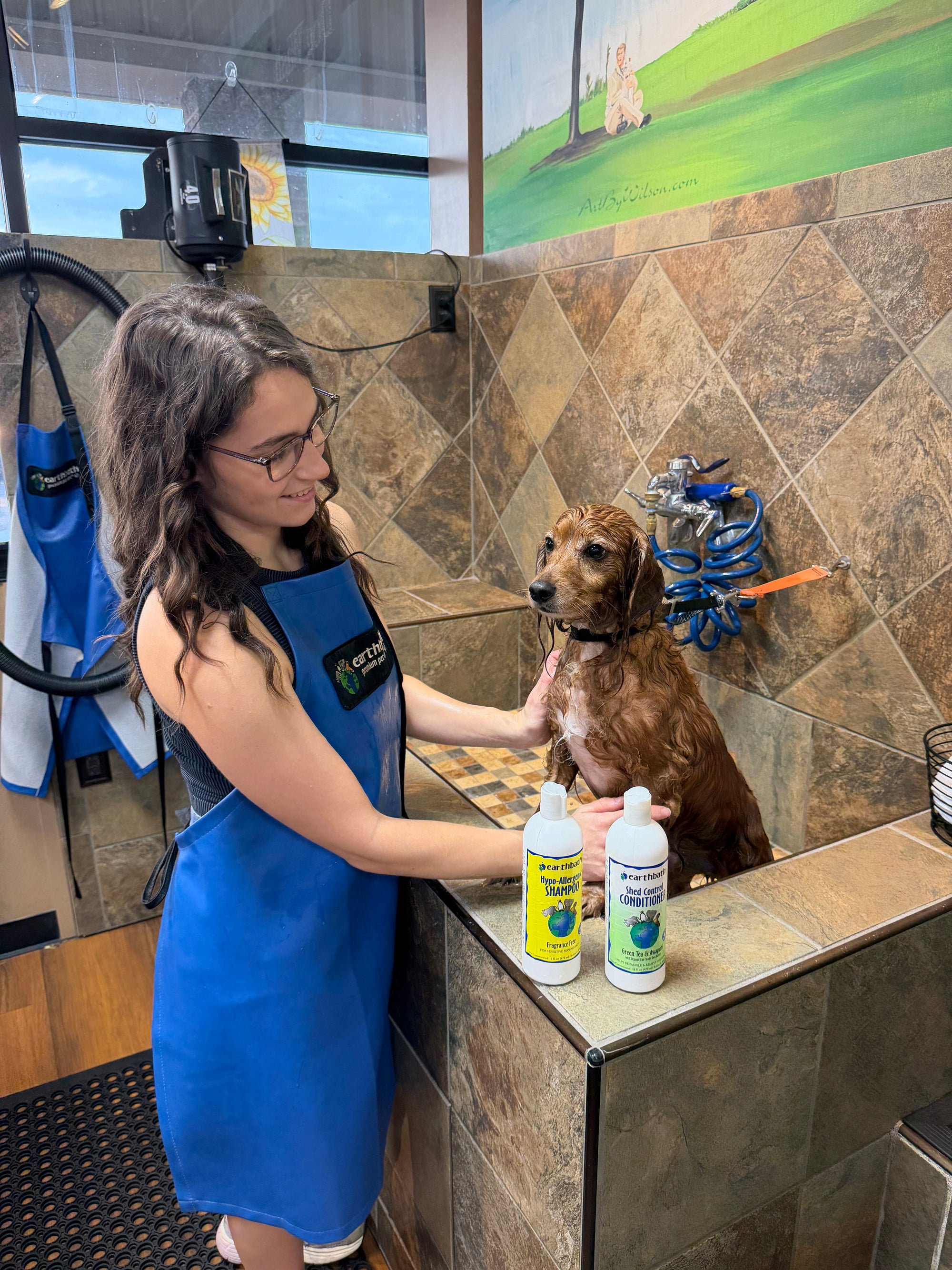 wet dog in pet wash with lady in blue apron washing him