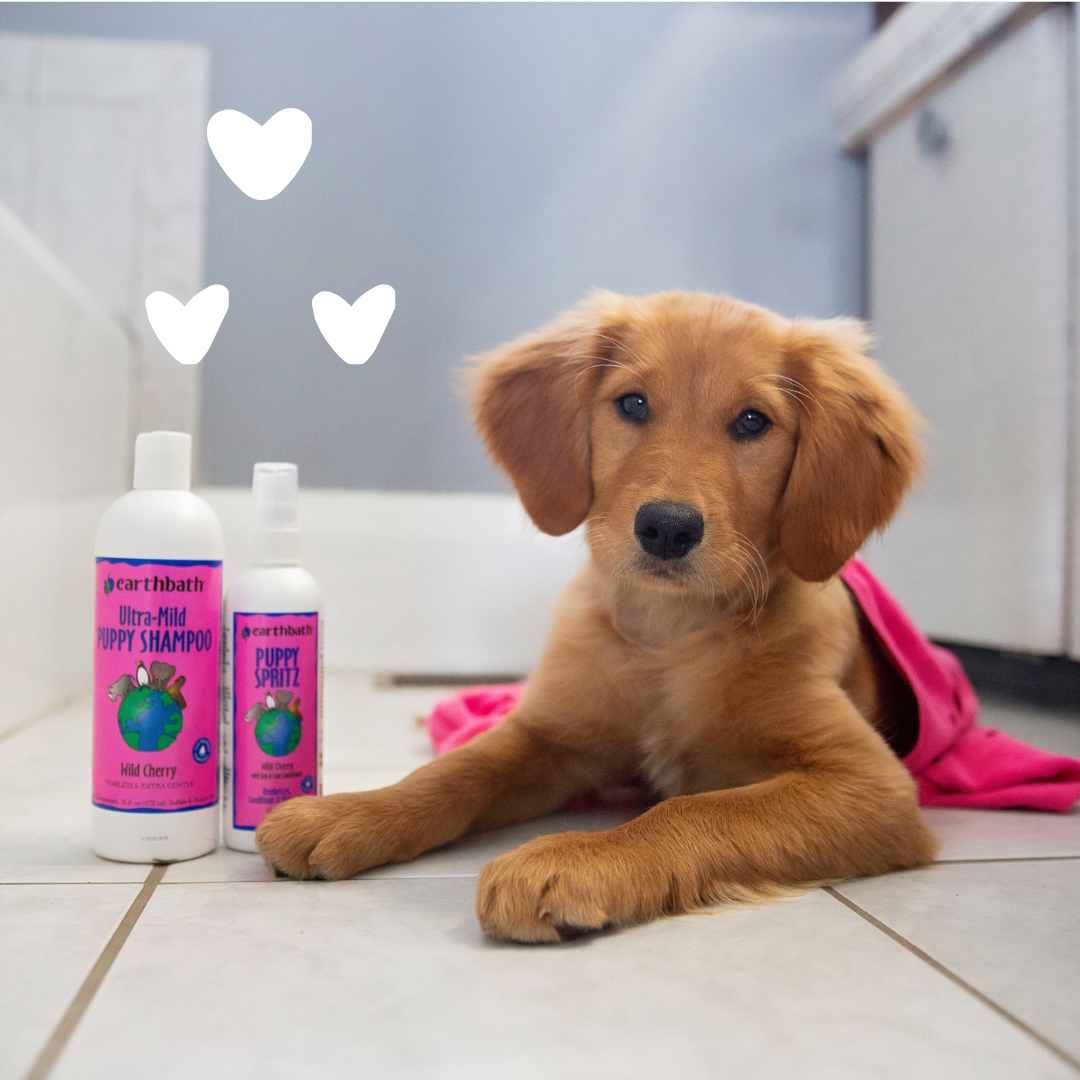 Dog with hearts along with Ultra-Mid Puppy Shampoo and Spritz