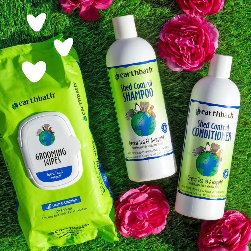 Earthbath pet care products including shampoo, conditioner, and wipes on grass with flowers.