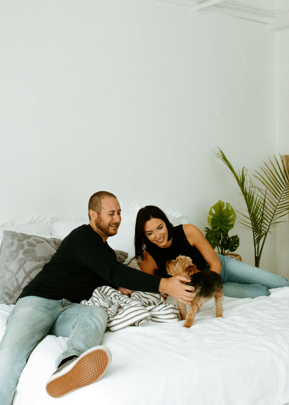 yorkie dog on bed with two people