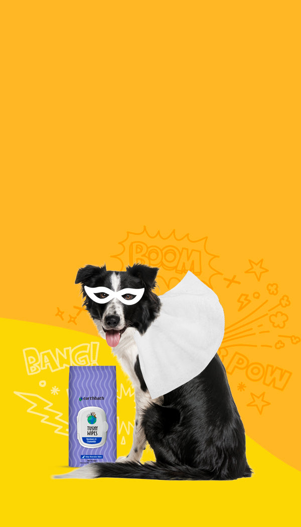Dog in superhero costume with a product package on a yellow background