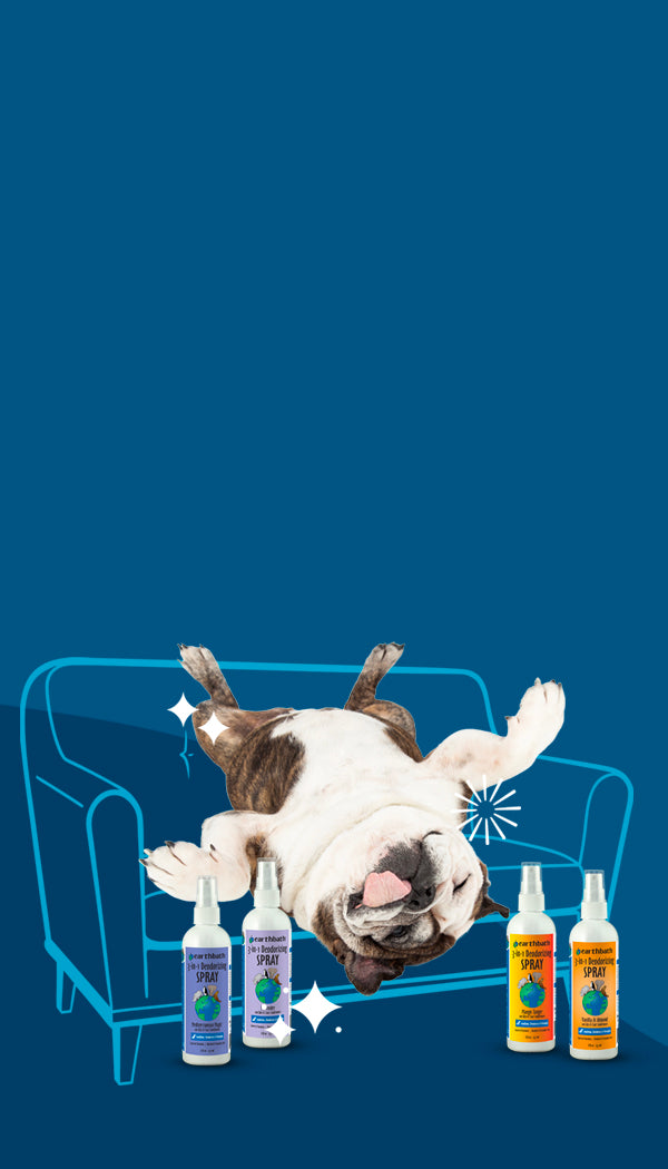 Dog lying on a couch with pet care products around on a blue background