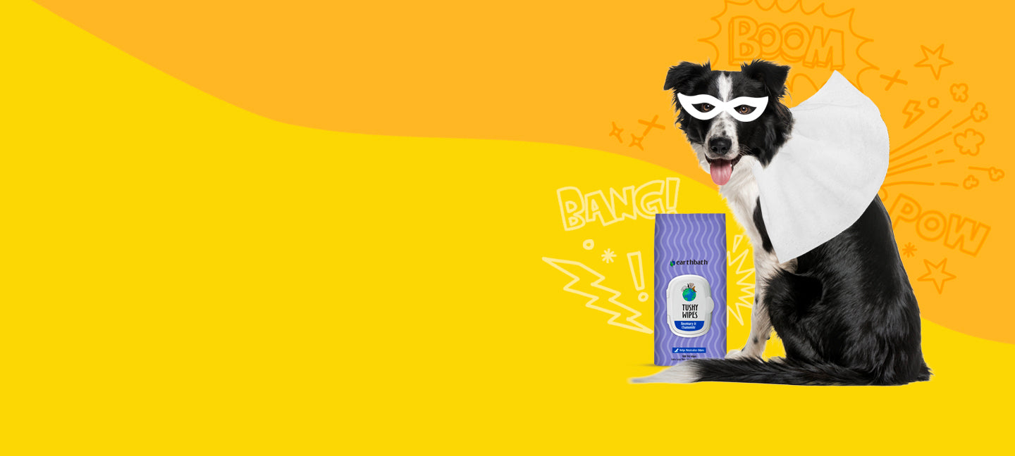Dog in superhero costume with a product package on a yellow background