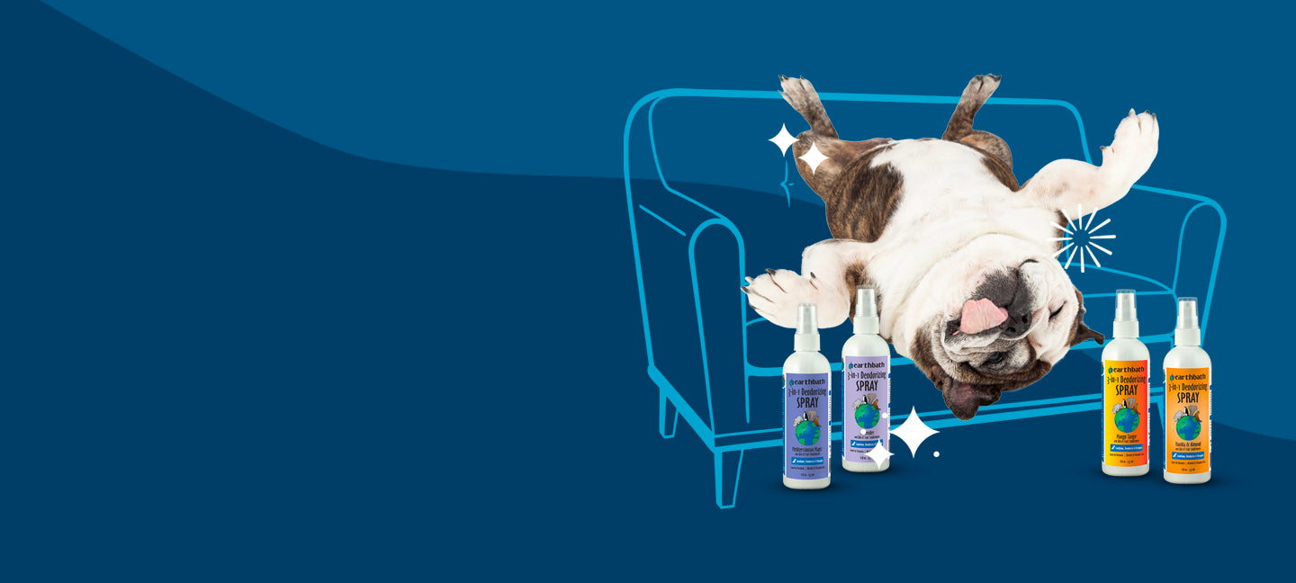 Dog lying on a couch with pet care products in front