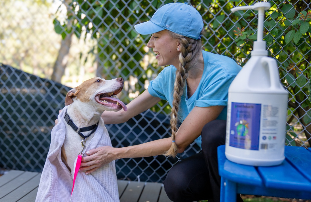 Every Bottle Tells a Story: Meet 3 Rescues Changing Lives