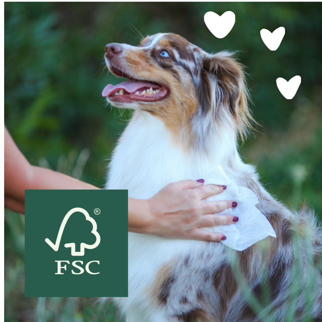 dog getting wiped down with white hearts and FSC logo