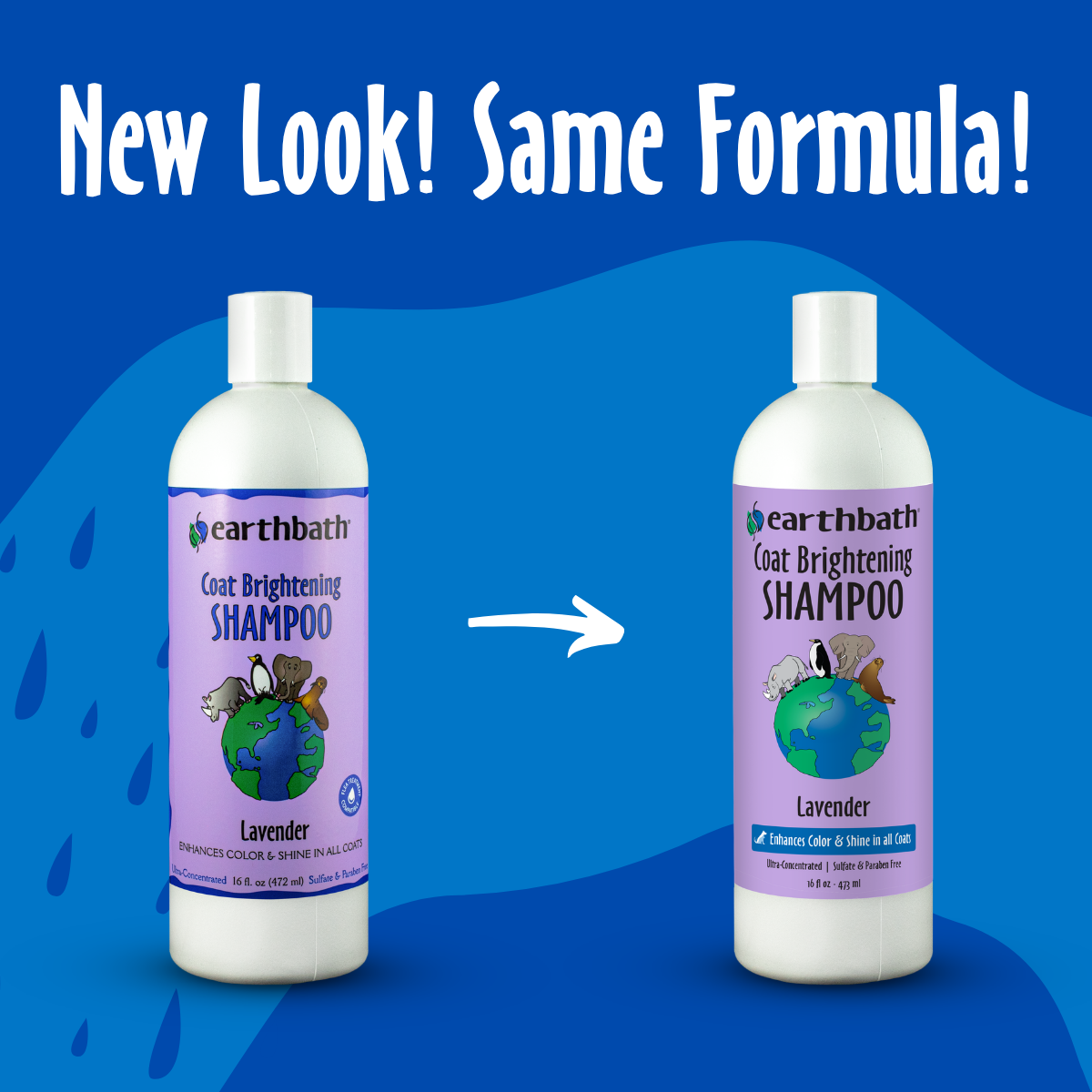 Two bottles of Earthbath Coat Brightening Shampoo on a blue background with text 'New Look! Same Formula!'.