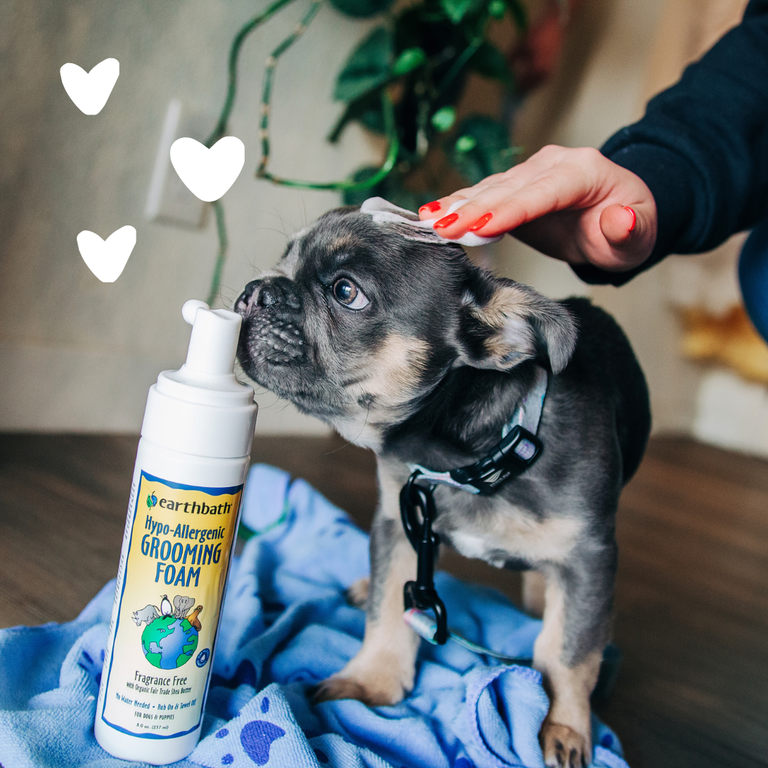 Hypoallergenic Dog Grooming Foam