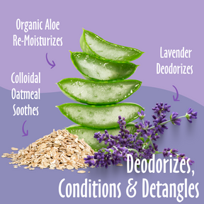 3-in-1 Deodorizing Spritz - Lavender