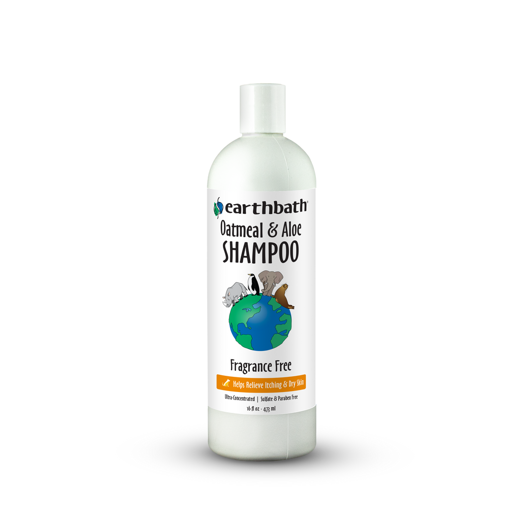 PROTECT HAIR SHAMPOO つめかえ用 500ml Hydrate & Soften Shampoo with Aloe Vera & Vegan Protein | 16 fl oz