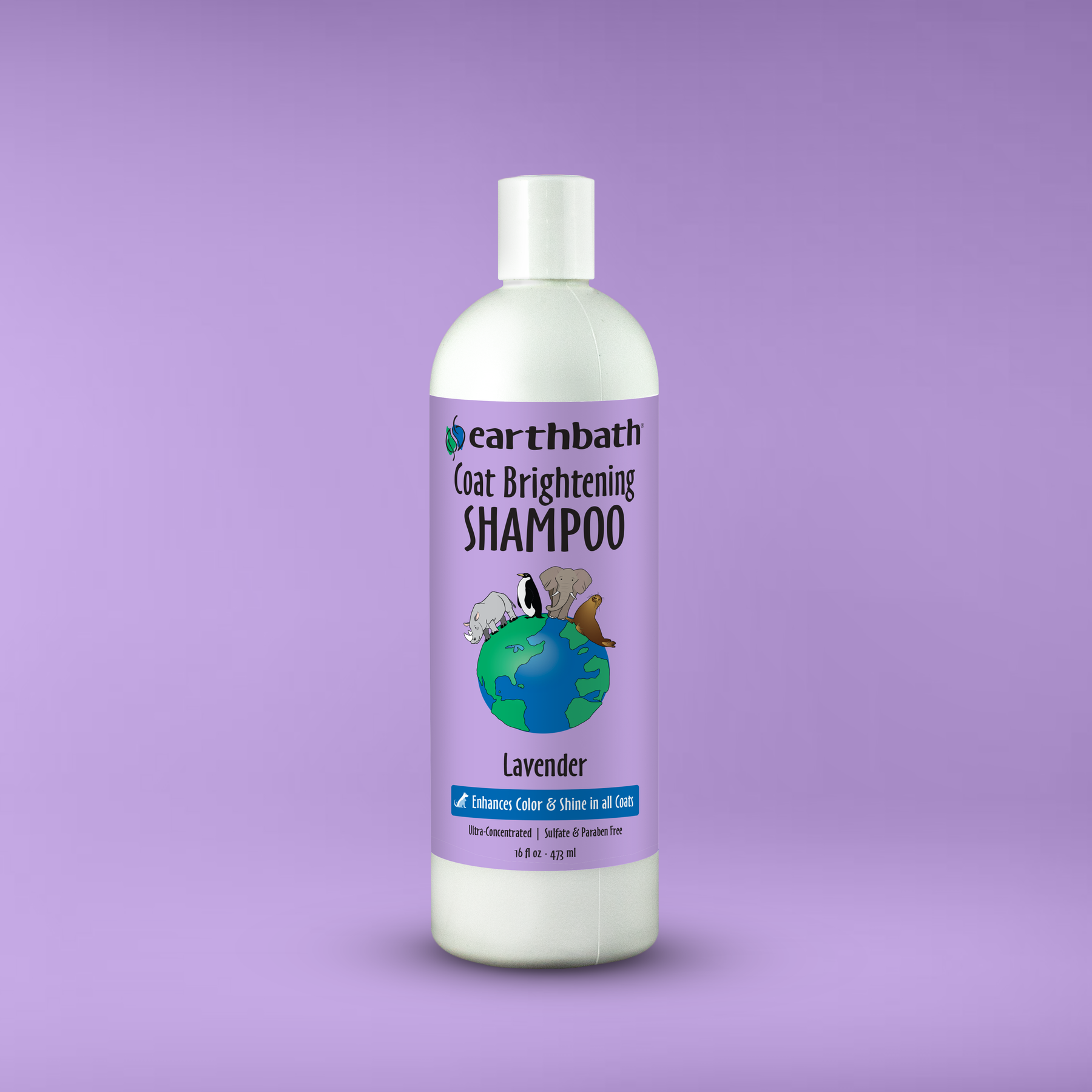 Earthbath Coat Brightening Shampoo bottle on a purple background