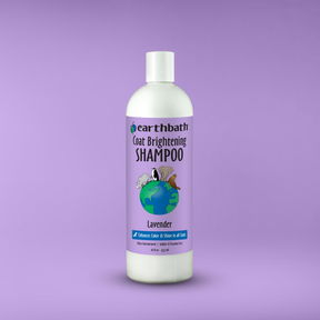 Earthbath Coat Brightening Shampoo bottle on a purple background