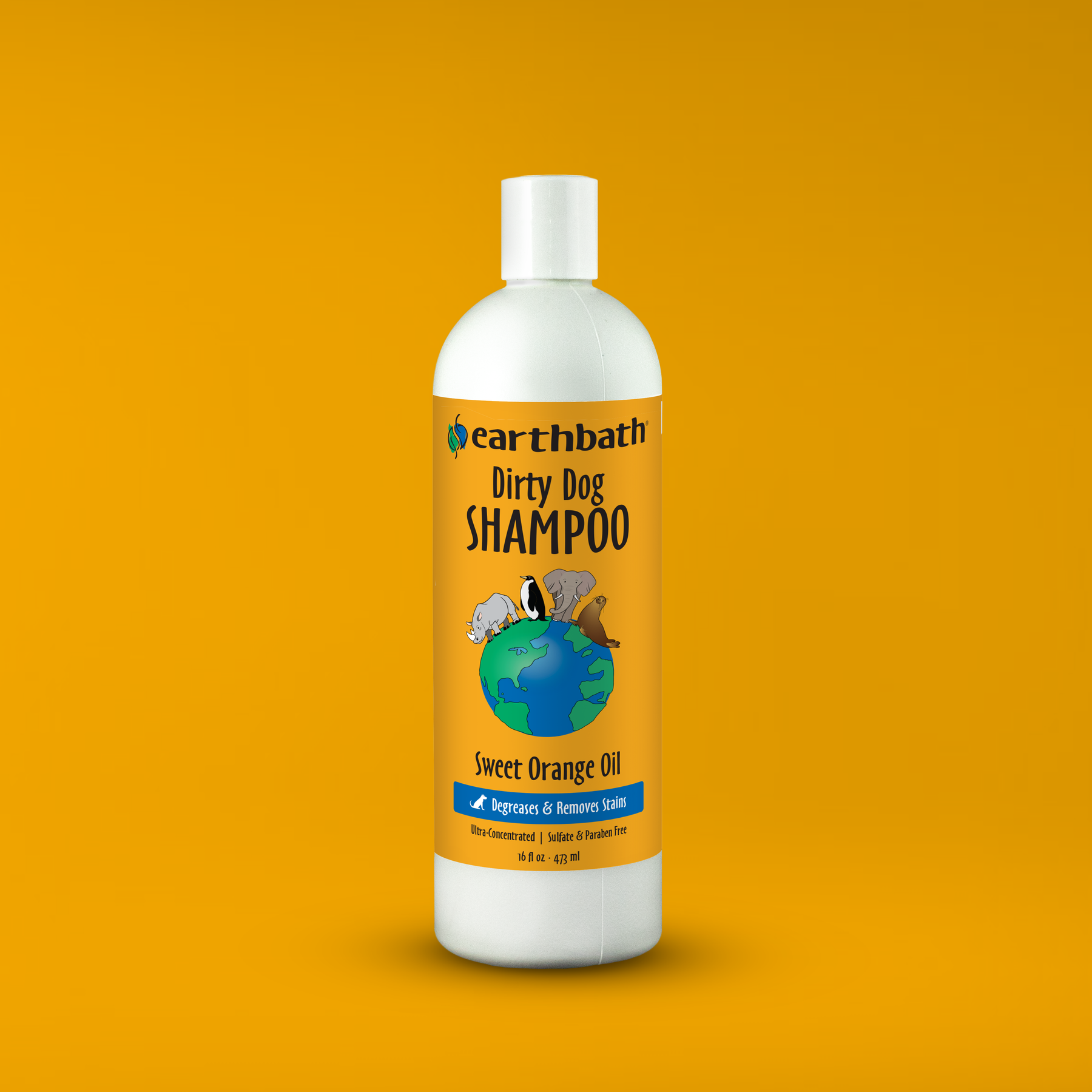 Earthbath Dirty Dog Shampoo bottle on an orange background