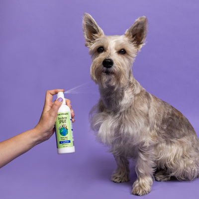 Shea Butter Pet Spray, Moisturizing Dander Relief | earthbath®