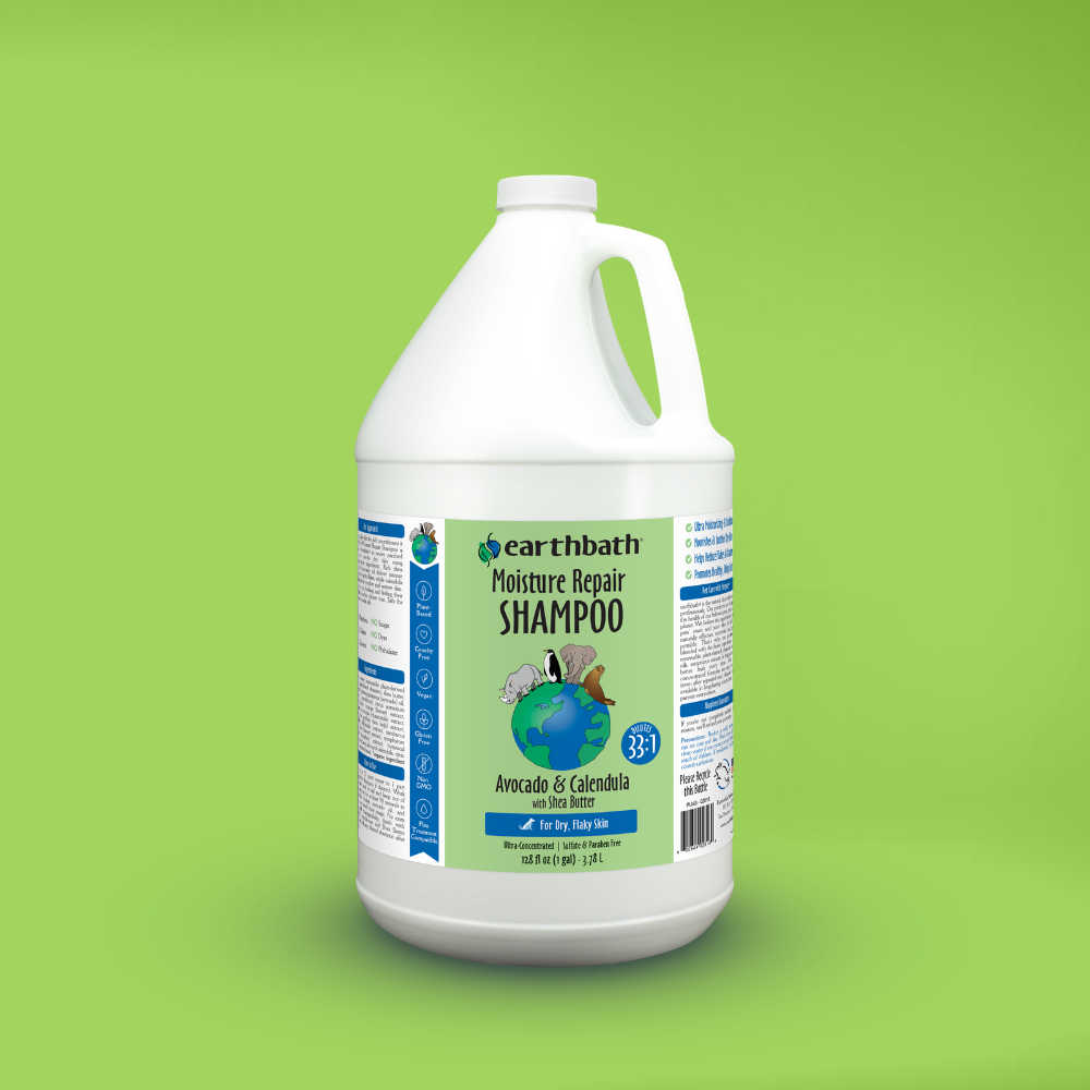 A one-gallon white plastic jug of earthbath Moisture Repair Shampoo, featuring a green and blue label with a globe graphic, set against a solid light green background.