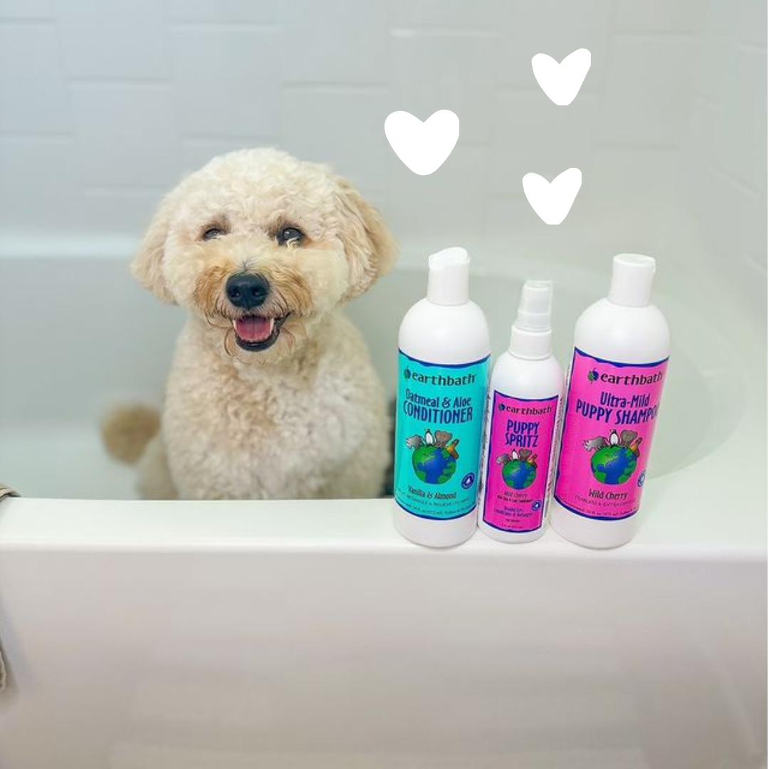 Ultra-Mild Puppy Grooming Set