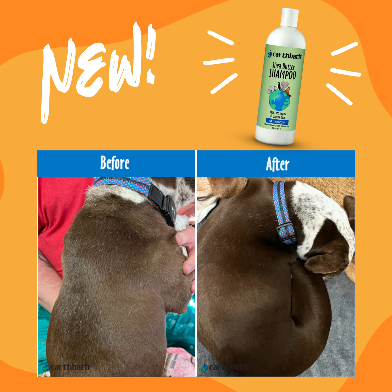 Shea Butter Shampoo, Moisturizing Dander Relief | earthbath®