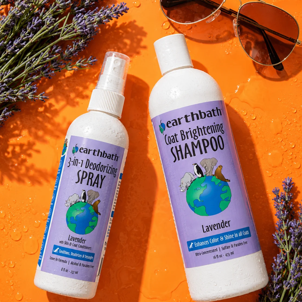 coat brightening shampoo and spray on am orange background with sunglasses and lavender sprigs