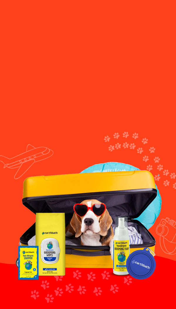 Pet travel kit with a dog toy, shampoo, and other items on an orange background with paw prints.
