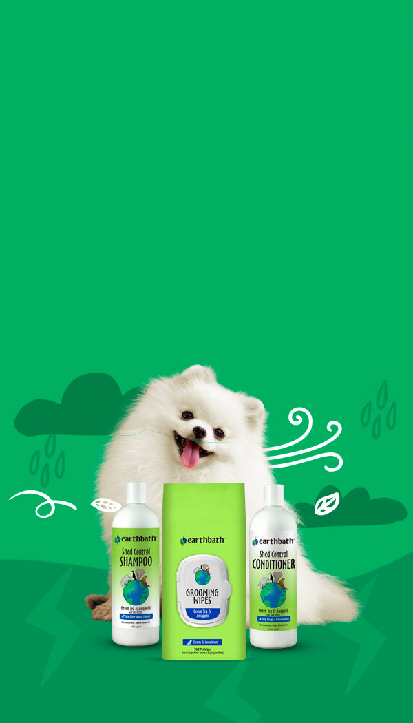 Two bottles of Earthbath pet care products with a small white dog on a green background