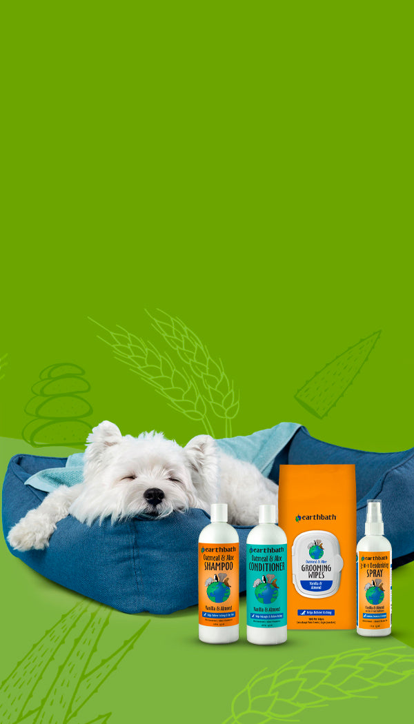 A small white dog lies on a blue pet bed against a bright green background, with several pet shampoo bottles and an orange box displayed in front. The products show the brand name pethealth.