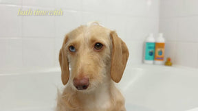 Oatmeal & Aloe Itch Relief Shampoo - Fragrance Free