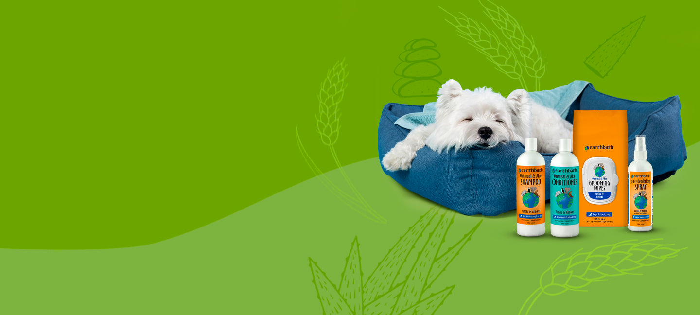 A small white dog rests in a blue pet bed beside several bottles and a box of pet grooming products on a green background with faint botanical line drawings.